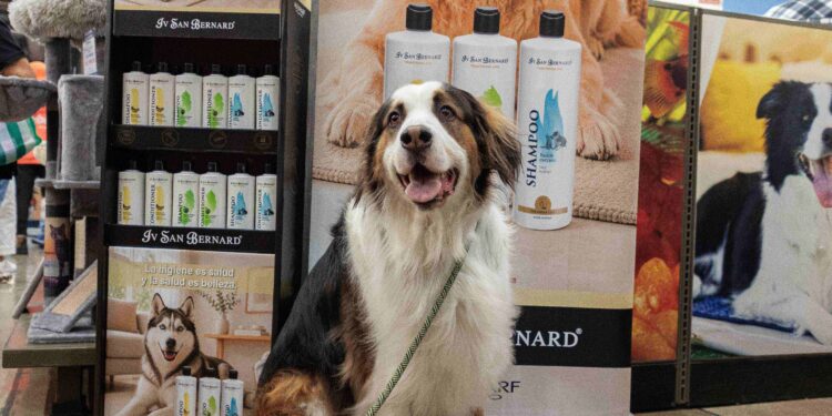 Petco impulsa el segmento premium con marcas especializadas para el bienestar de las mascotas