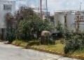Desmantela FGR 4 centros de combustible ilegal en Hidalgo, Morelos y SLP