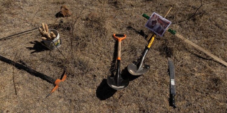 Buscadoras de Sonora encuentran una fosa con restos óseos y más de 50 casquillos percutidos