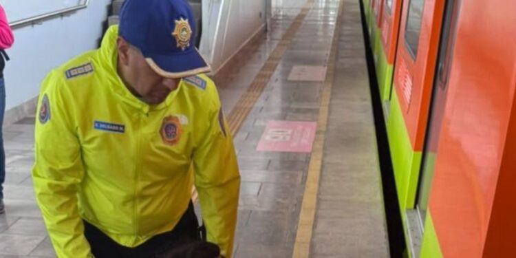 Fallece persona tras presuntamente arrojarse a las vías en la estación Tlaltenco de la Línea 12 del Metro