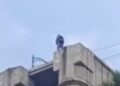 Reportan muerte de hombre tras lanzarse desde lo alto de un distribuidor vial en Jardín Balbuena