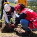 México ante el reto de recuperar sus bosques
