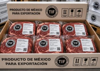 El boom del bovino: exportaciones de carne de res crecen 24% y rompen récord