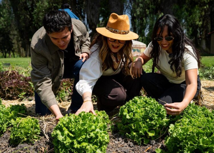 PepsiCo presenta Exploradores del Sabor una experiencia culinaria que resalta sabores mexicanos y la versatilidad de su portafolio de marcas
