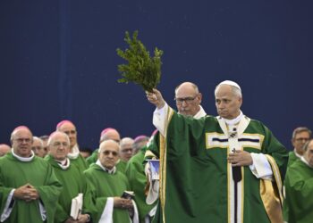 El papa condena desde Lourdes que se eliminen vidas “por falsa compasión”