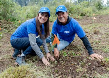 Cox planta 12,000 árboles en seis estados de México con acciones de voluntariado