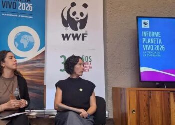 Científicos de WWF tienen esperanza pese a descenso del 73% de fauna silvestre