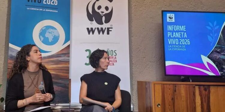 Científicos de WWF tienen esperanza pese a descenso del 73% de fauna silvestre