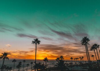 FICCLosCabos anunció los 15 documentales seleccionados de su plataforma de apoyo a la industria con visión local, La Baja Inspira 2026