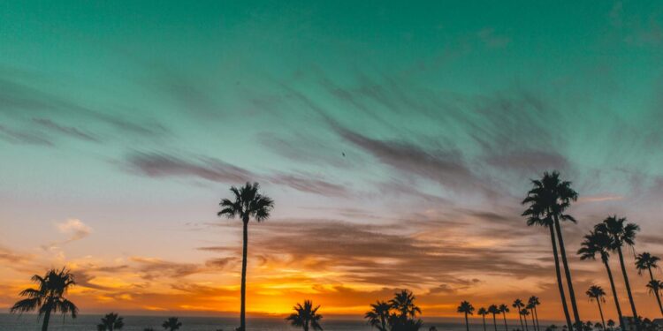 FICCLosCabos anunció los 15 documentales seleccionados de su plataforma de apoyo a la industria con visión local,  La Baja Inspira 2026