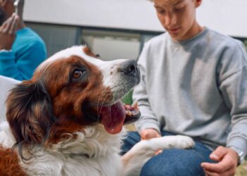 Uso responsable de medicamentos veterinarios protege la salud de las mascotas