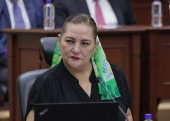 Renuncia Taddei al INE