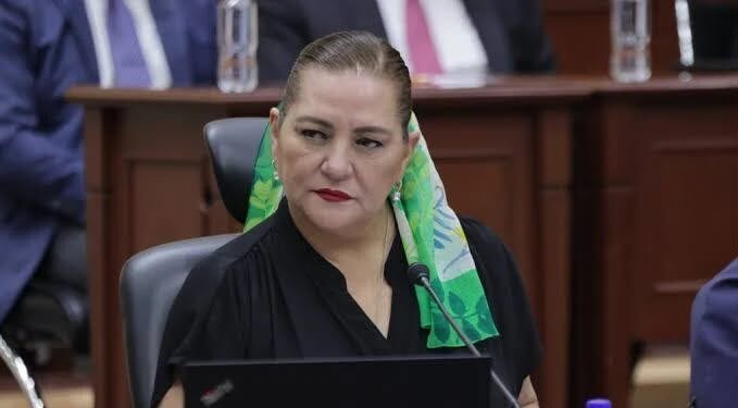 Renuncia Taddei al INE