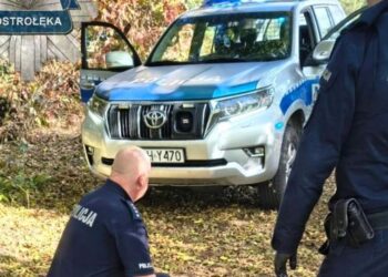 Ataque en escuela en Polonia: estudiante hiere a nueve personas tras agresión con cuchillo