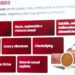 Buscan frenar el odio y el ciberbullying en plataformas digitales con nuevo decreto