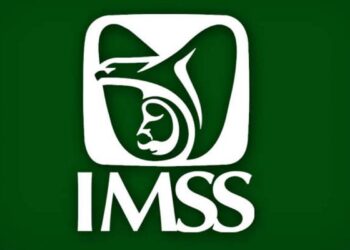 Contrataciones millonarias del IMSS adjudicadas con declaraciones falsas