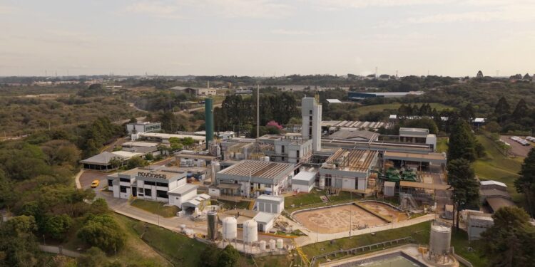Novonesis: biosoluciones en México crecerían más de 130 % y abrirían oportunidad de 12 mil millones de euros