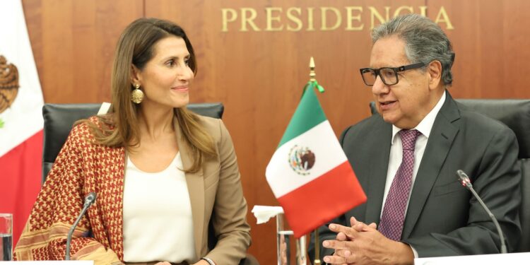 Reitera Higinio Martínez solidaridad de México con Palestina